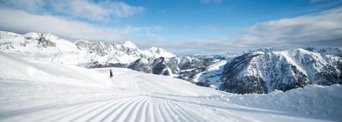 Alpen Penthouse Kayak ve Snowboarding