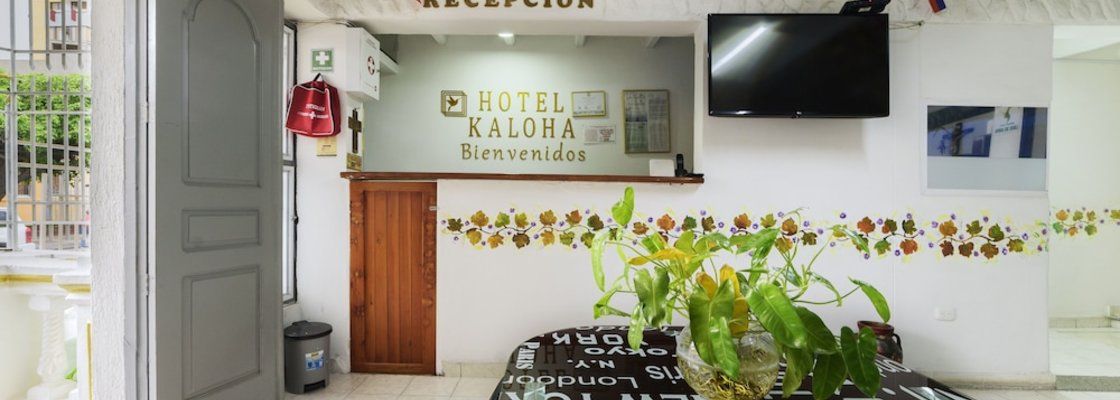 Casa Hotel Kaloha Lobi
