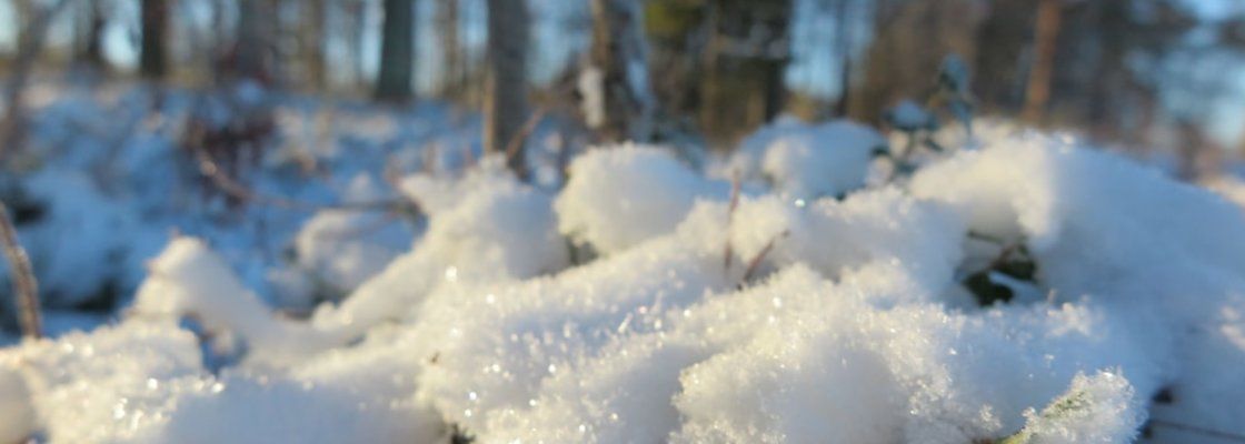 Lapland Getaway Öne Çıkan Resim