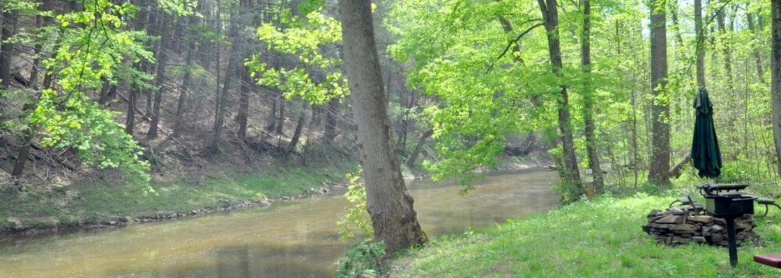 Mishka at Sleepy Creek Öne Çıkan Resim