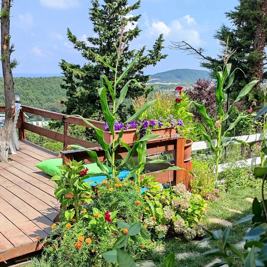 Ağva Green Blue Otel 5
