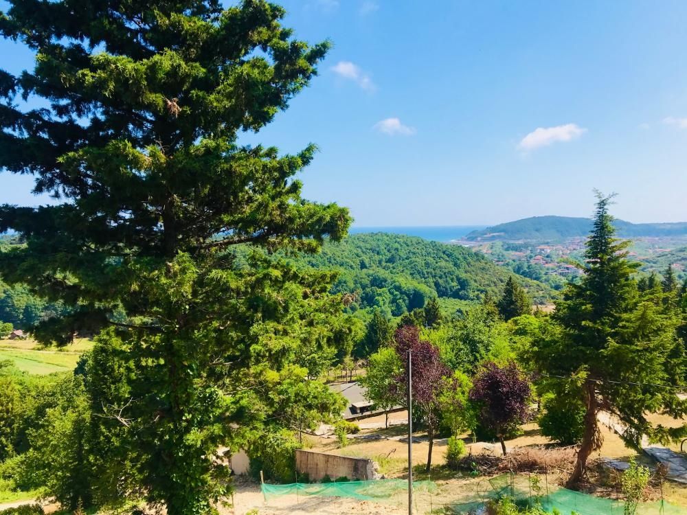 Ağva Green Blue Otel 3