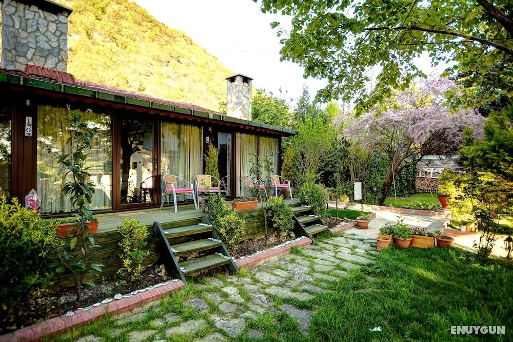 Ağva Park Mandalin Hotel - Adult Only 4