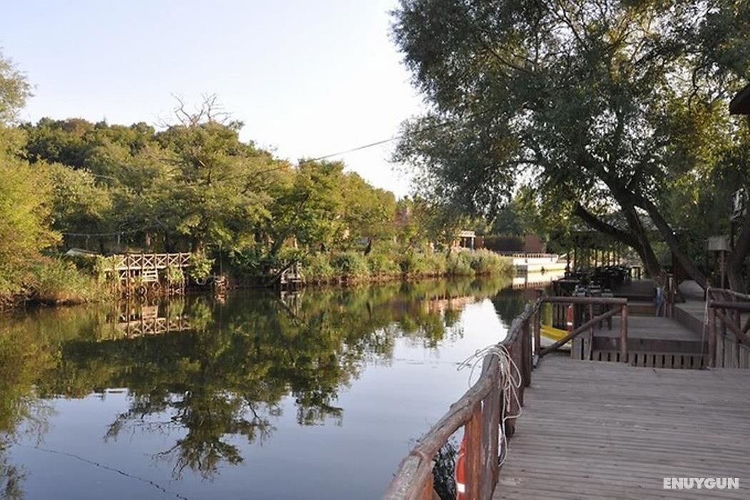 Ağva Shelale Otel 4