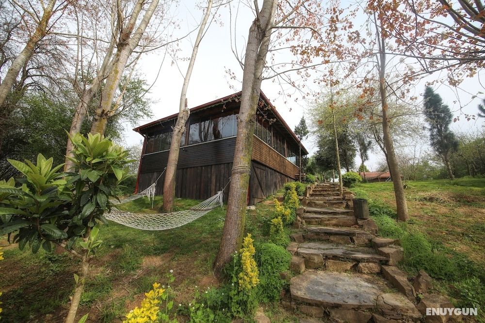 Ağva Tartaruga Motel 2