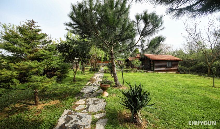 Ağva Tartaruga Motel 3