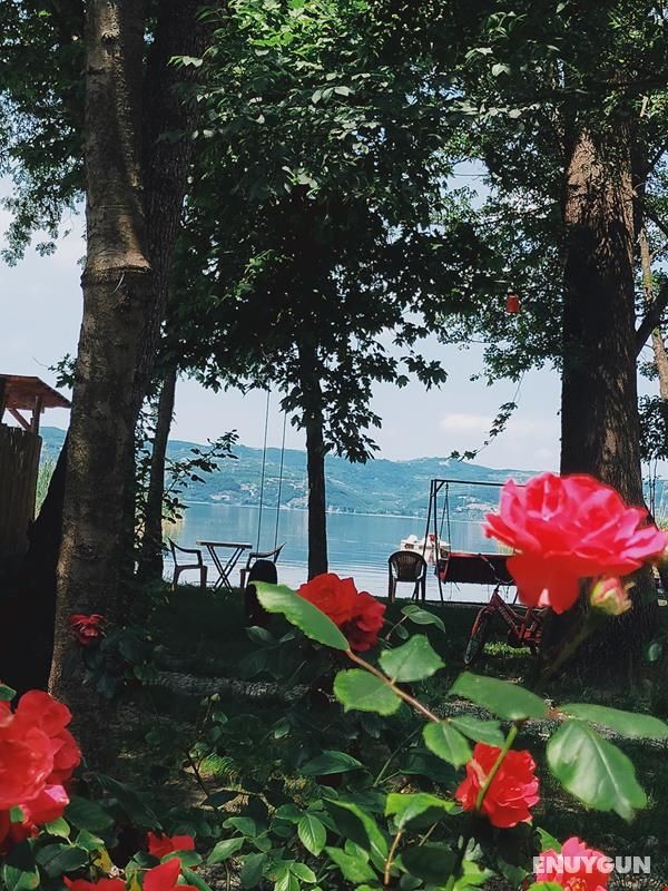 Alcedo Bungalov 4