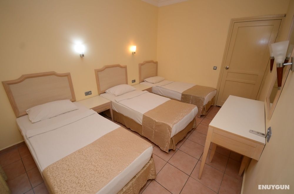 Alenz Suite 2