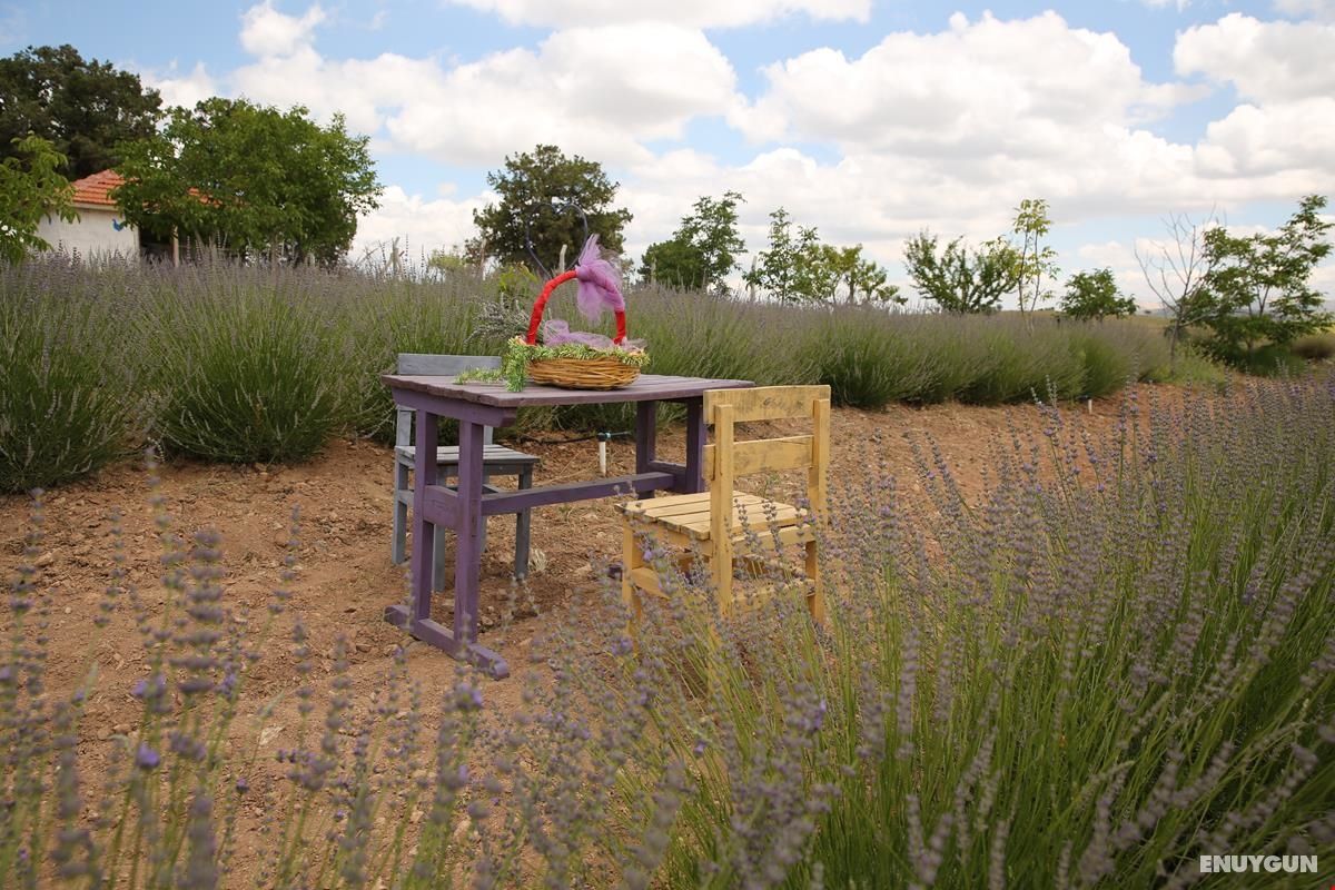 Aromatic Hotel Bungalov 3