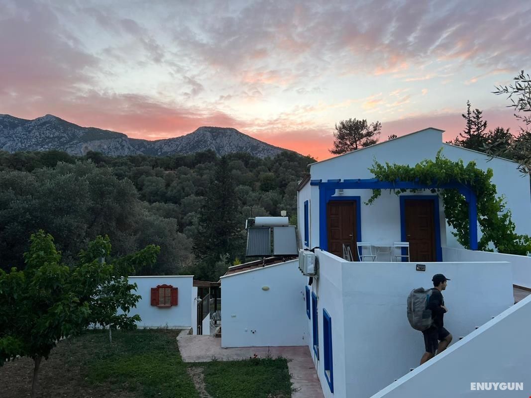 Artolive Datça Butik Otel 3