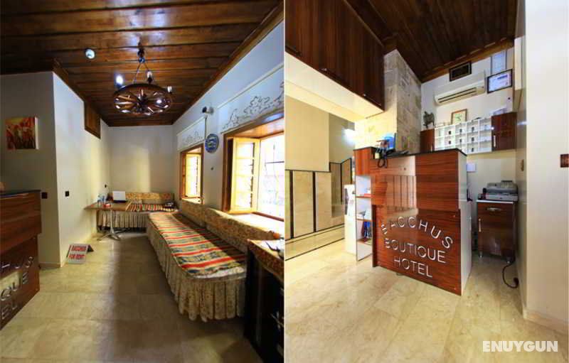 Bacchus Pension 3