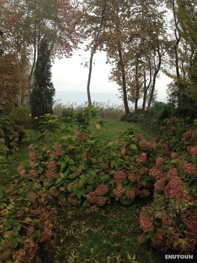 Beta Home Lake House Sapanca 5