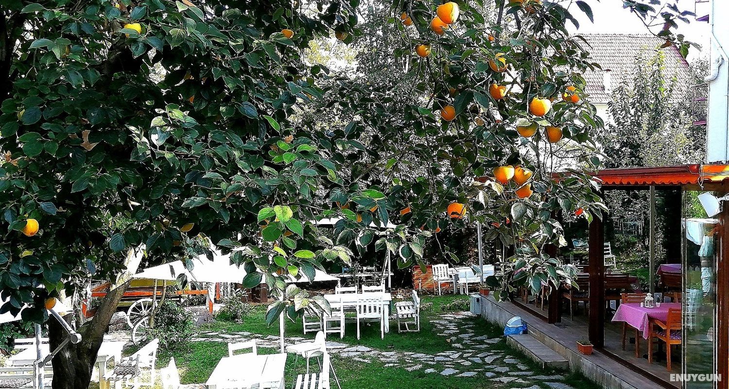 Beyaz Ev Butik Otel Maşukiye 5