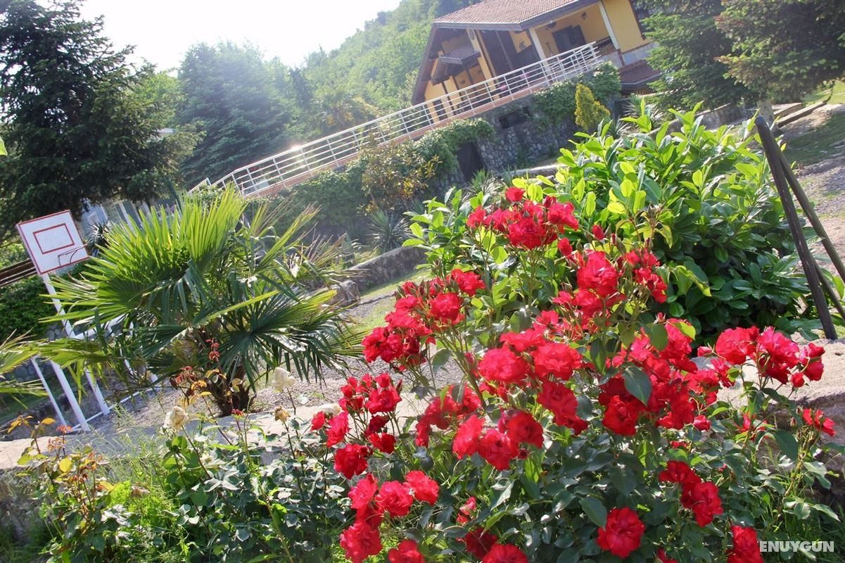 Bloom Sapanca 3