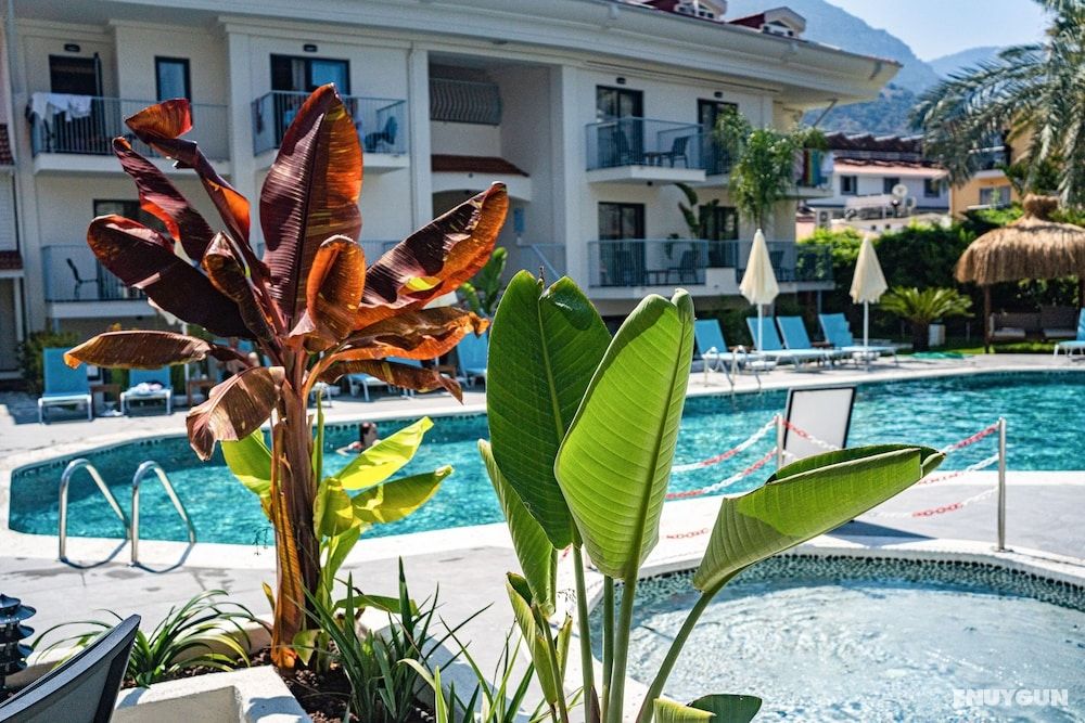 Blue Star Hotel 2