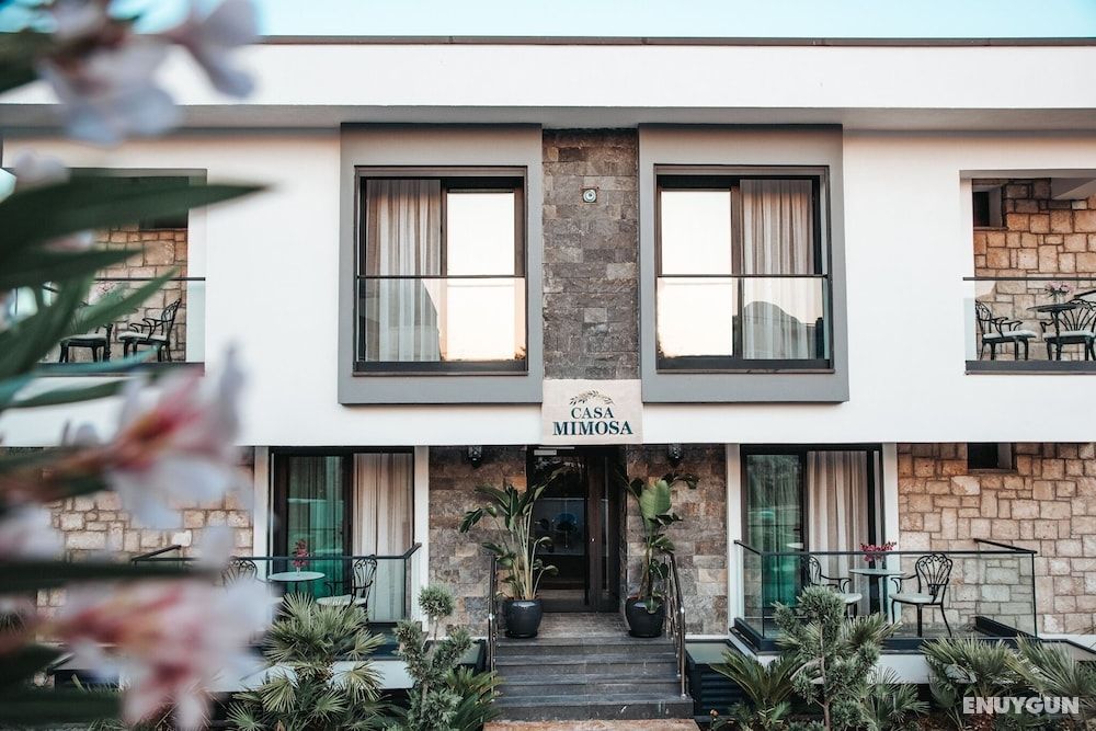 Casa Mimosa Hotel 2