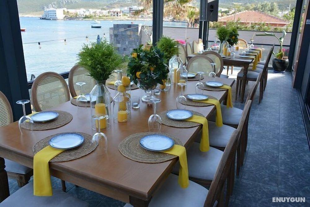Casa Mimosa Hotel 5