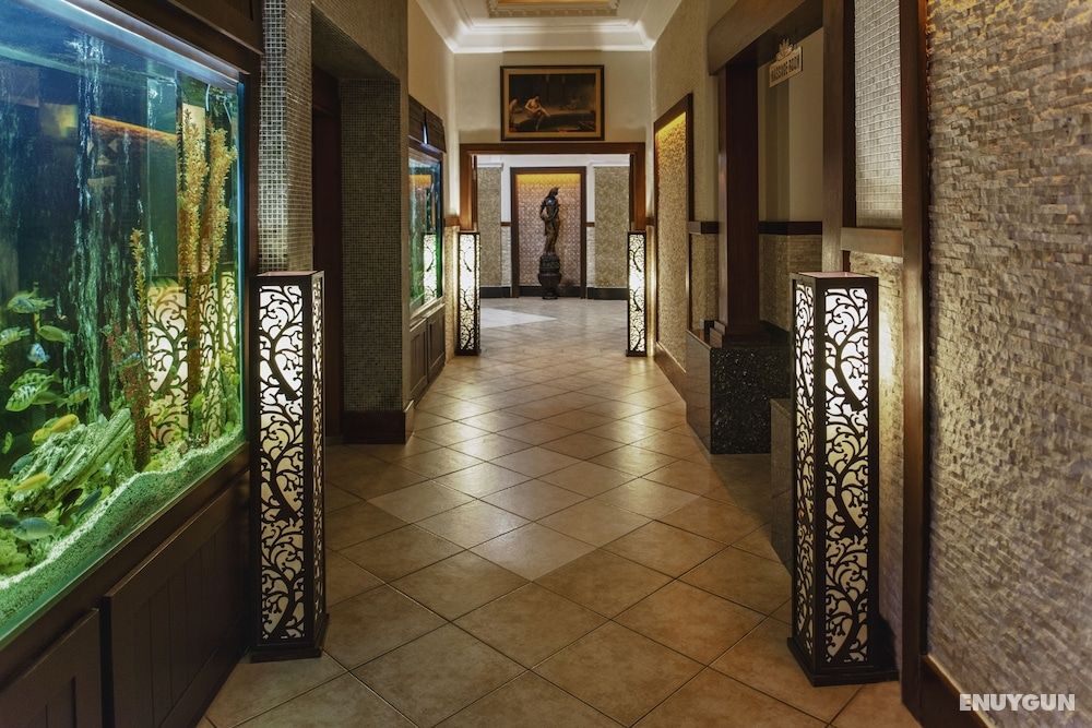 Delphin Palace 4