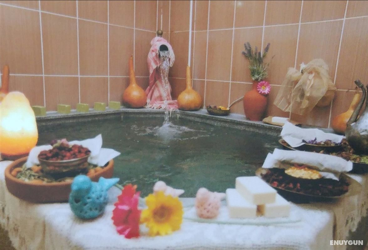 Ege Termal Apart Hotel 2