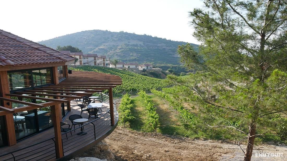 Gillham Vineyard Hotel 2