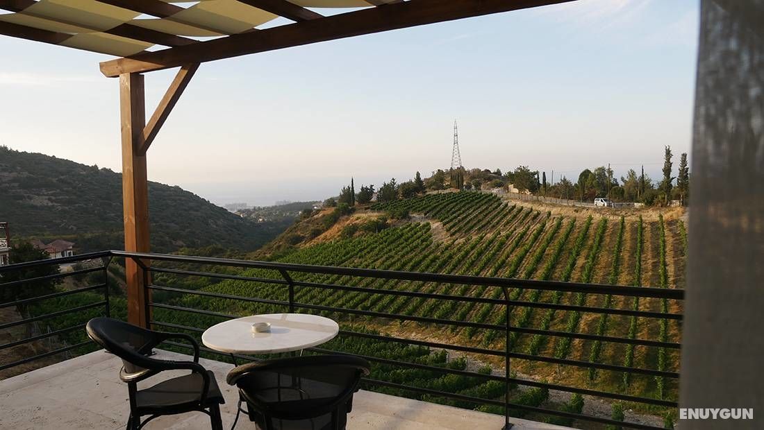 Gillham Vineyard Hotel 4