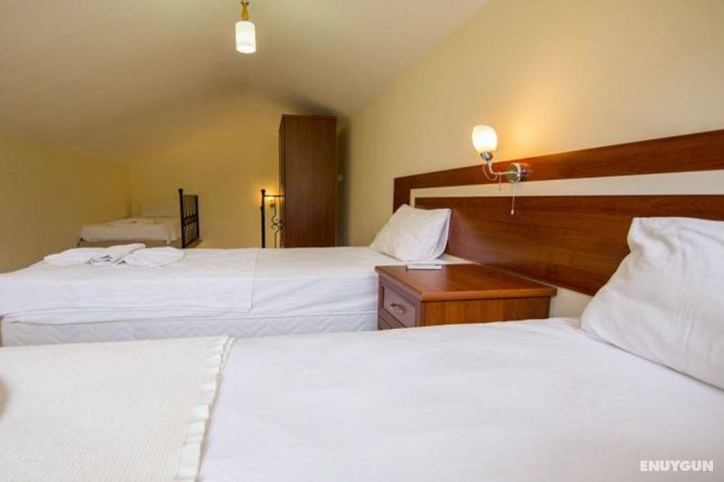 Gold Lion Hotel 5