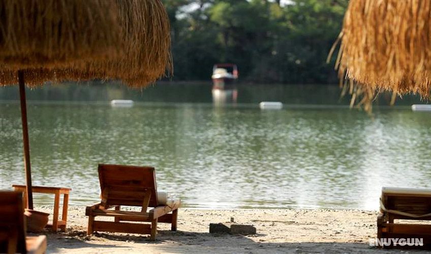Green Pine Beach & Bungalows 4