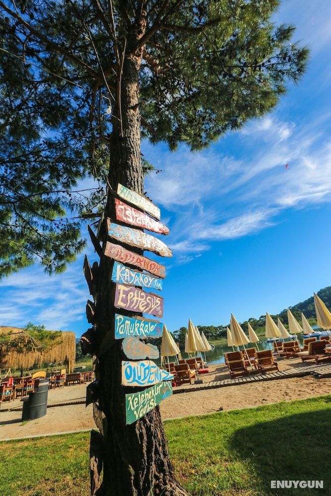 Green Pine Beach & Bungalows 3