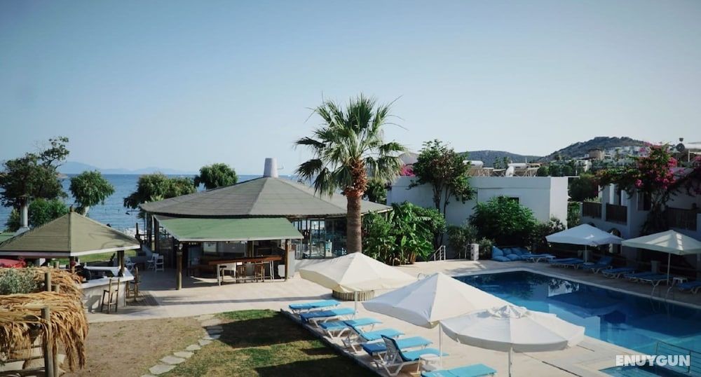 Gümbet Cove Hotel 4