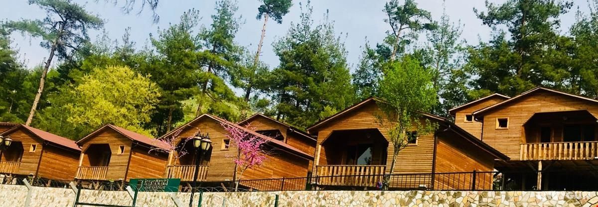 İpek Böceği Park 2