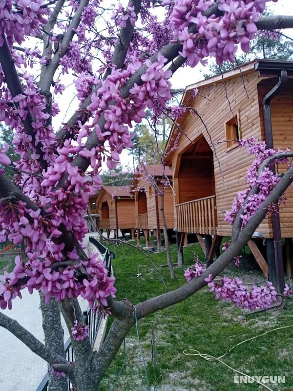 İpek Böceği Park 4