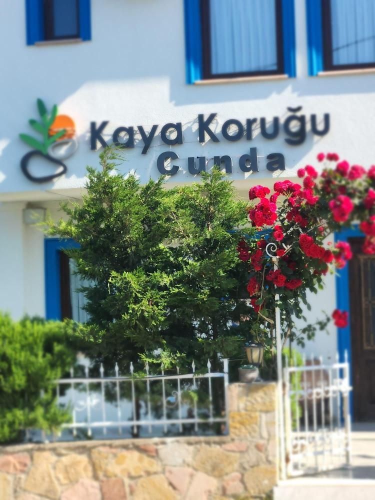 Kaya Koruğu 3