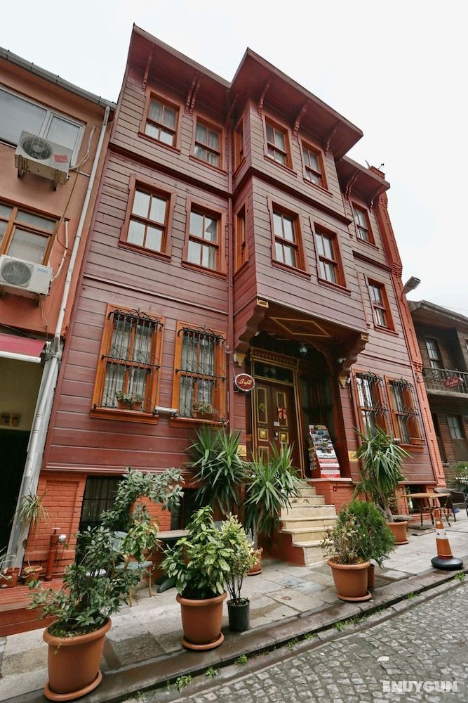 Le Safran Suite 5