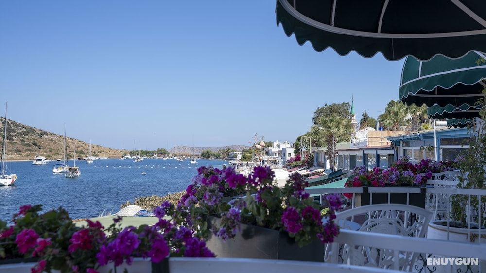 Liman Hotel Gümüşlük - Adult Only 3