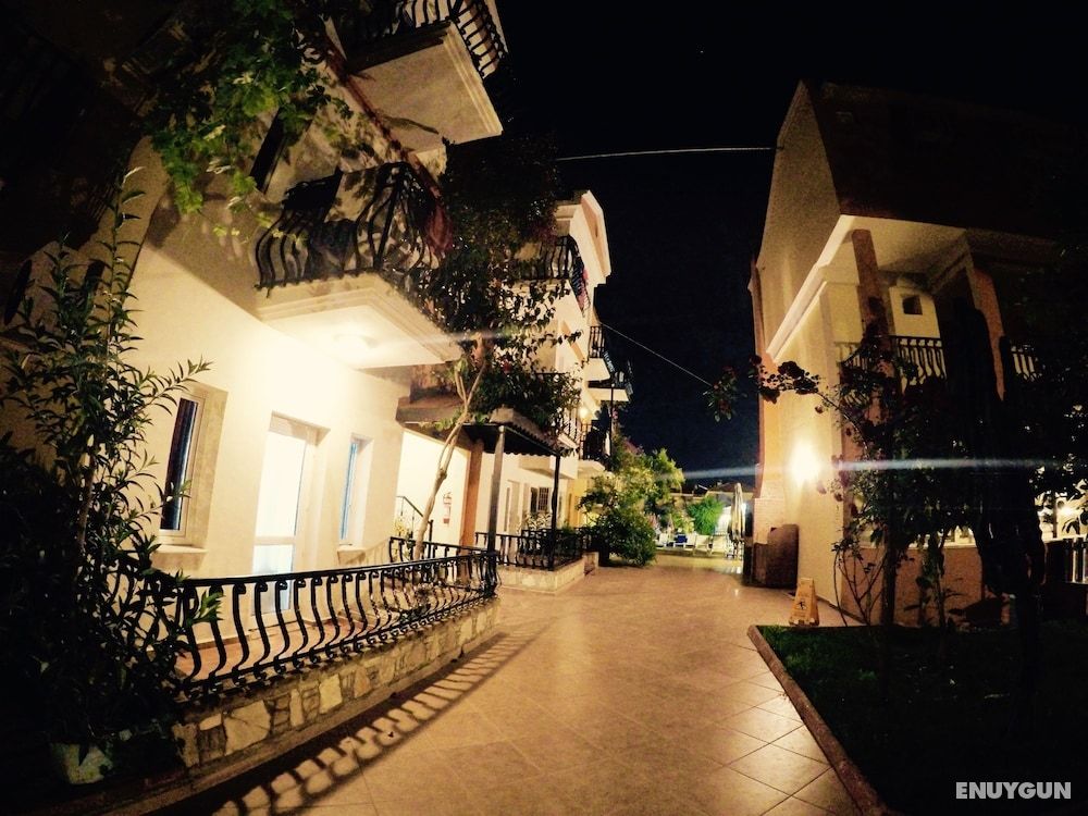 Magic Tulip Hotel 3