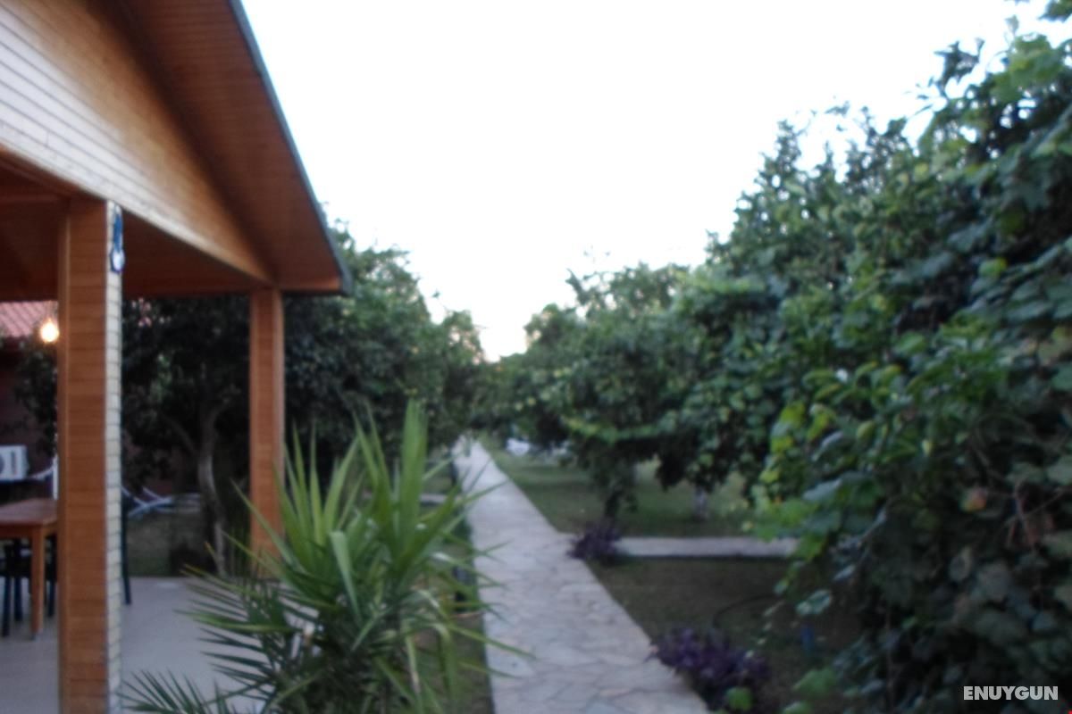 Merhaba Hotel Çıralı 4
