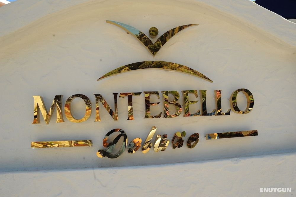 Montebello Deluxe 3