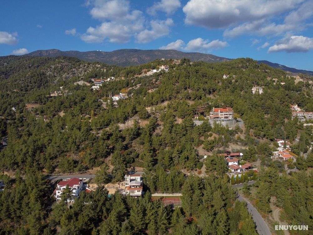 Nestor Hillside Moniatis House 2