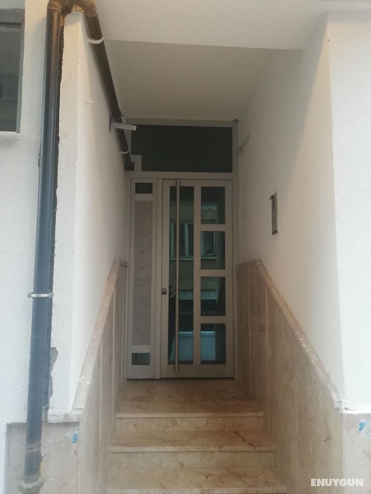 New House 5