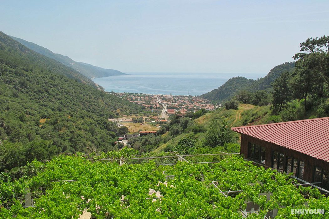 Ölüdeniz Manzara Hotel 5