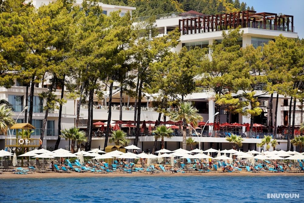 Orka Lotus Beach 2