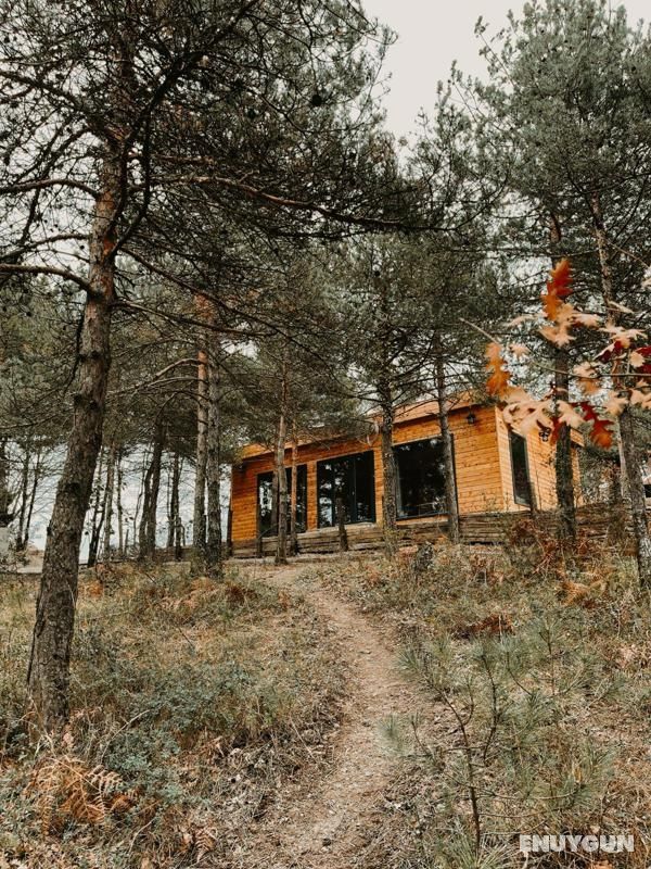 Red Pine Guest House 2