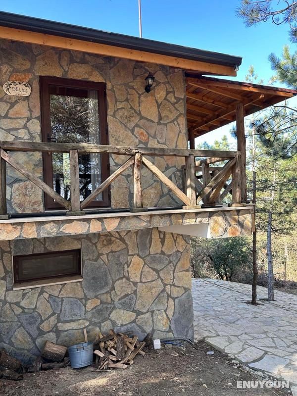 Red Pine Guest House 4
