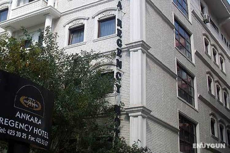 Reda Palas Karanfil 3