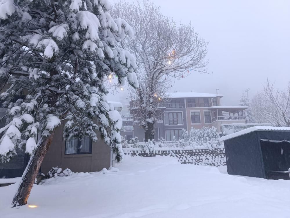 Rüya Sapanca Bungalov 3
