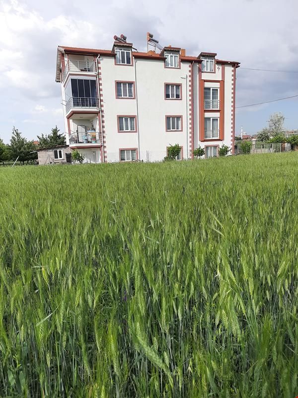Salda Apart Pansiyon 5