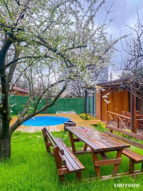 Sapanca Lot5 Tiny House 4