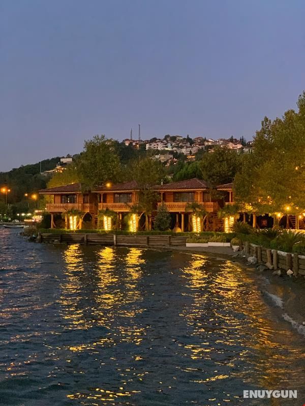 SASA Harmanlık 5