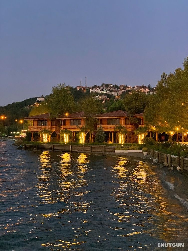 SASA Harmanlık 2