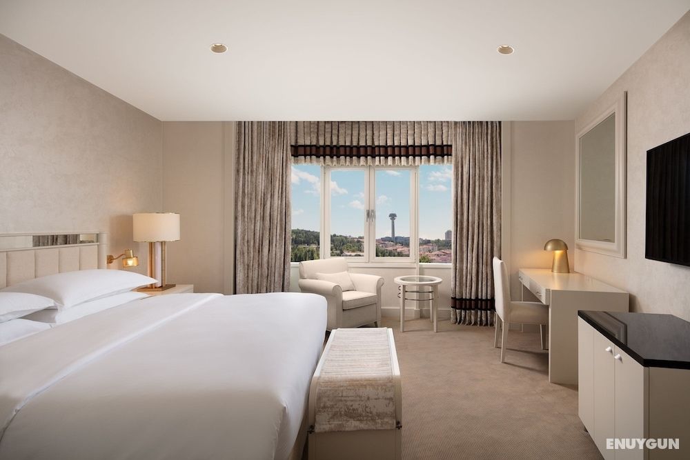 Sheraton Ankara Hotel & Convention Center 5